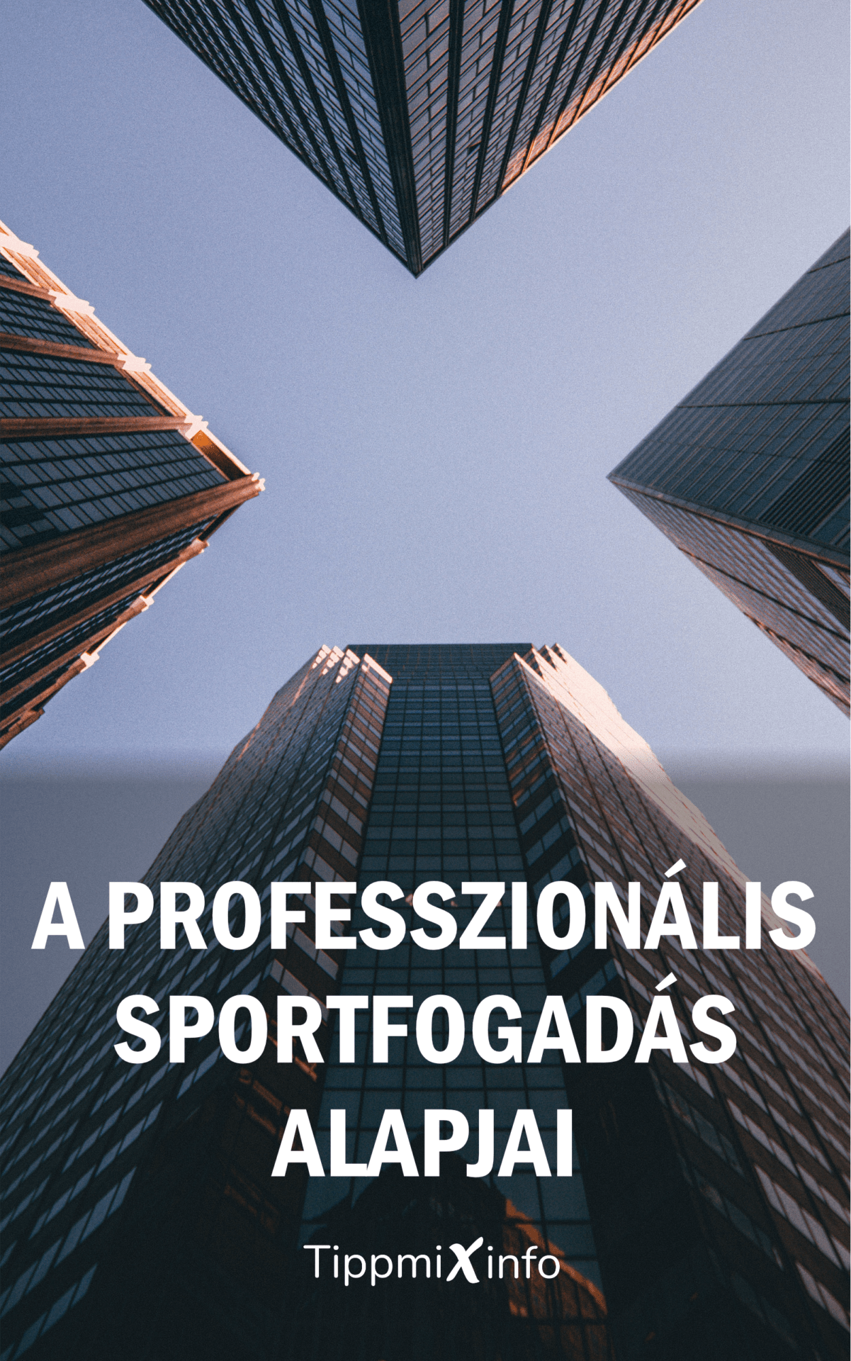 professzionális sportfogadás
